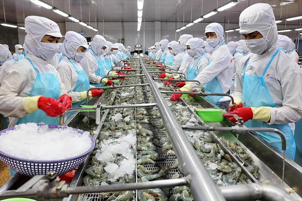 Update on the latest fresh and frozen seafood export procedures